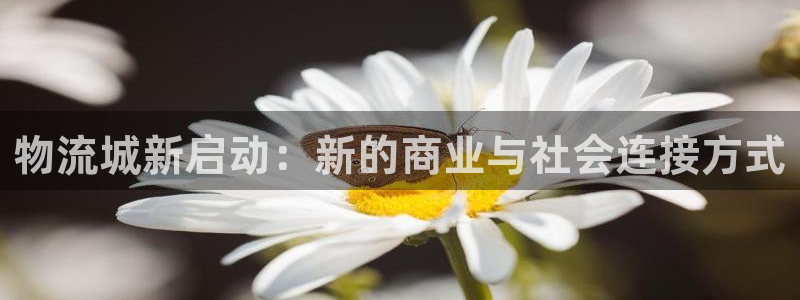 28圈加拿大开奖：物流城新启动：新的