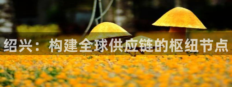 28圈电子游戏：绍兴：构建全球供应链