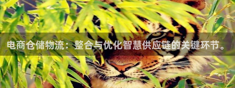 28圈链接来一个：电商仓储物流：整合