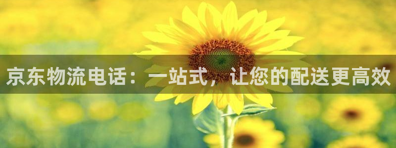 28圈登录网：京东物流电话：一站式，