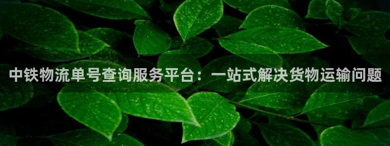 28圈充值：中铁物流单号查询服务平台