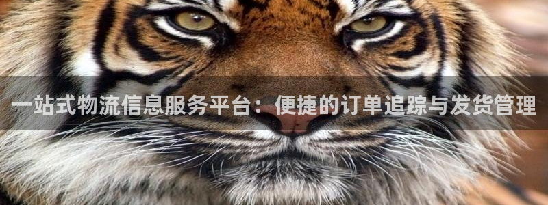 28圈怎么注册：一站式物流信息服务平