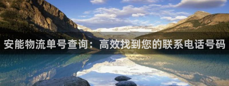 28圈官方网站预测：安能物流单号查询
