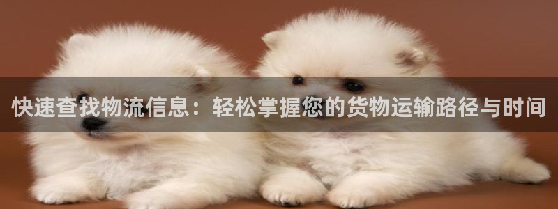 28圈注册网站谁有：快速查找物流信息