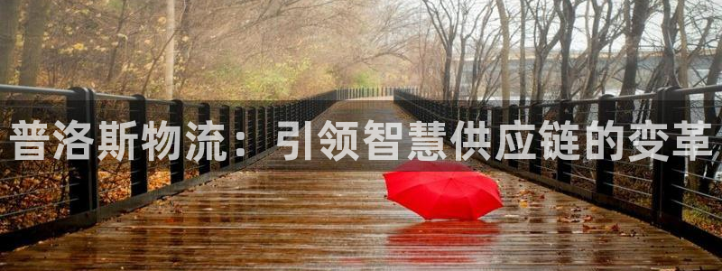 28圈分分28预测：普洛斯物流：引领