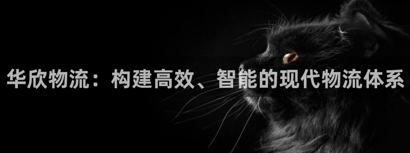 28圈官方网站预测：华欣物流：构建高