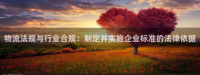28圈加拿大是什么意思：物流法规与行