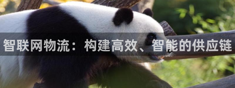 28圈注册送：智联网物流：构建高效、