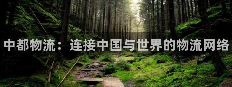 28圈注册二维码：中都物流：连接中国