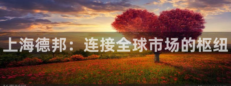 28圈口内径是多大：上海德邦：连接全