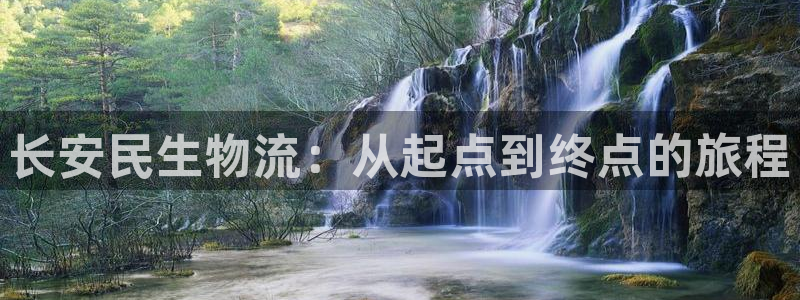 28圈充值不处理：长安民生物流：从起