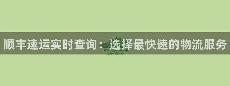28圈连输10天：顺丰速运实时查询：选择最快速的物流服务