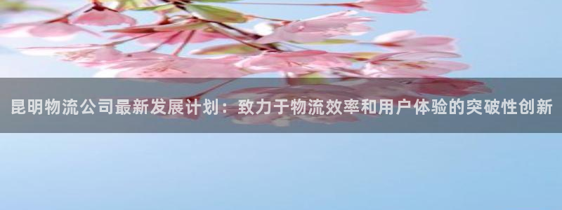 28圈怎么申请代理