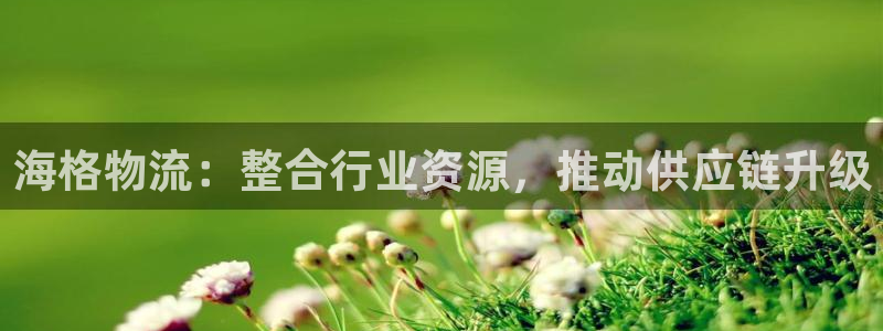 28圈cn