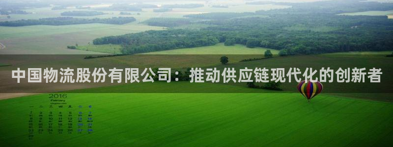 28圈p扣除：中国物流股份有限公司：推动供应链现代化的创新者