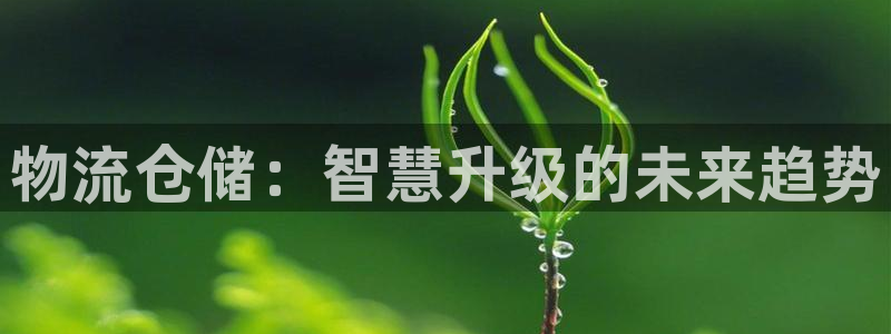 28圈充值