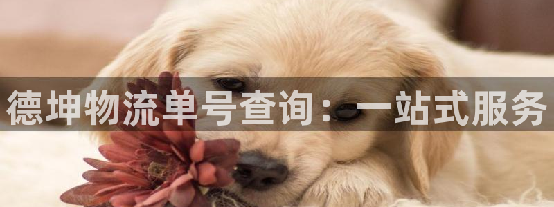 28圈反水
