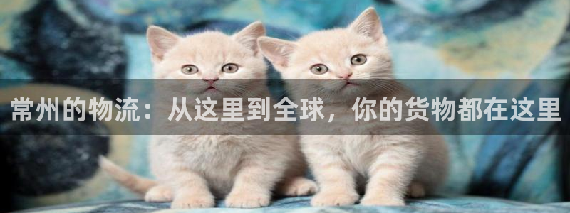 28圈为什么打不开