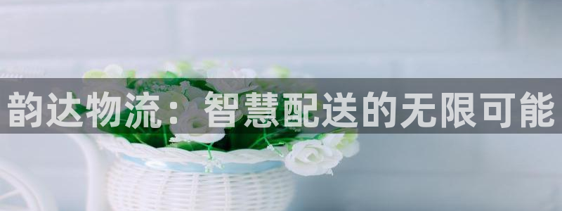 28圈推广链接是多少