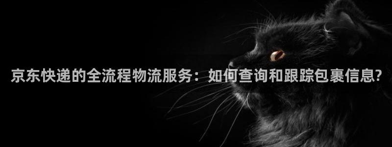 28圈在线预测
