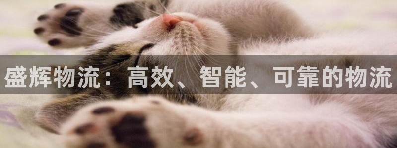 28圈选28ng官网