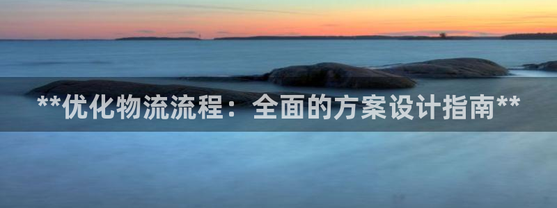 28圈游戏：**优化物流流程：全面的