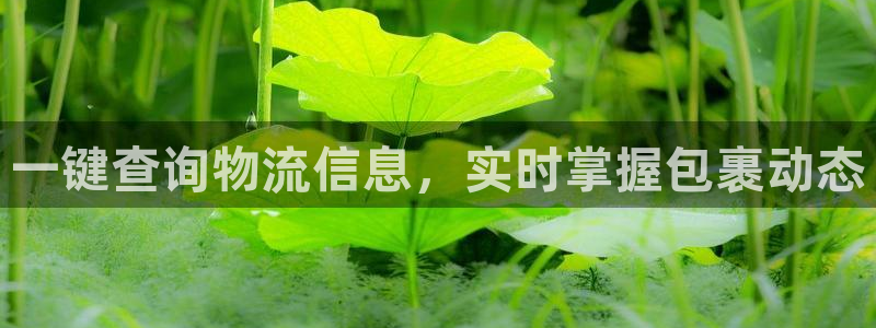 28圈加拿大是什么意思：一键查询物流