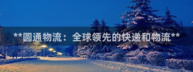 28圈如何看计划：**圆通物流：全球