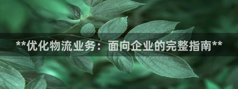 28圈充值：**优化物流业务：面向企