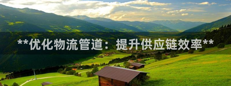 28圈怎么注册账号：**优化物流管道