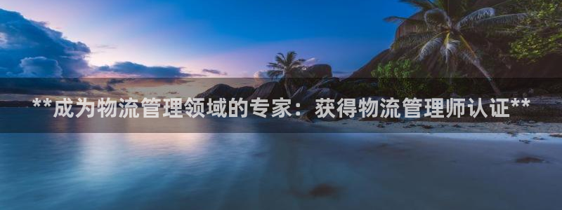 28圈口