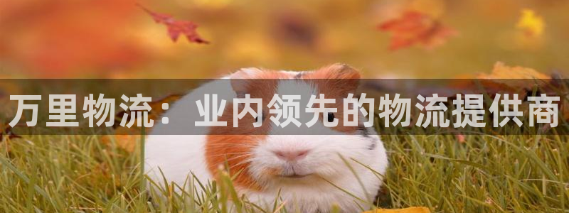 28圈游戏最新版