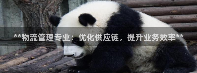28圈登录：**物流管理专业：优化供