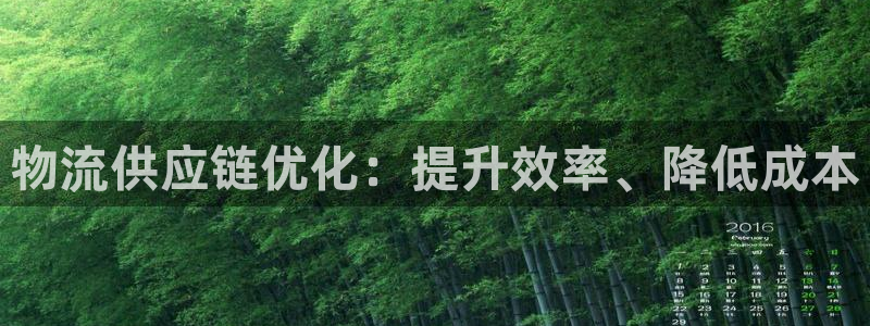28圈官方官网：物流供应链优化：提升