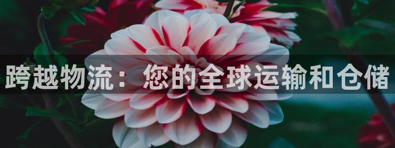 28圈充值不到账什么原因：跨越物流：