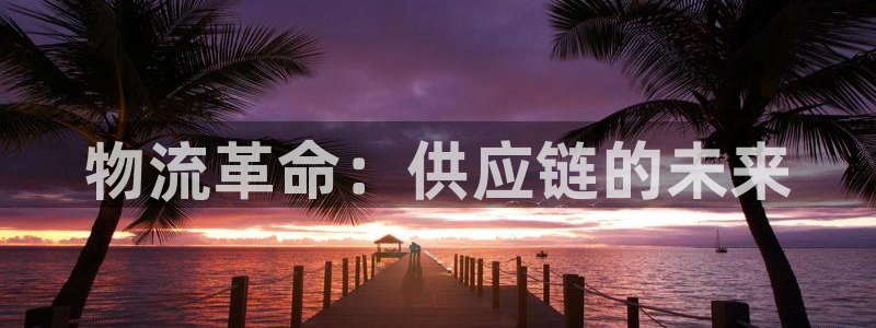 28圈退款：物流革命：供应链的未来
