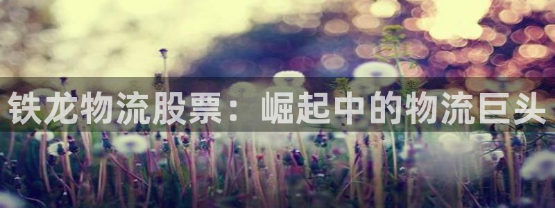28圈麻将胡了