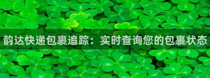 加拿大28圈数字规则