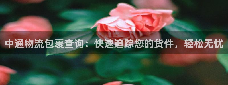 28圈人工客服电话是什么