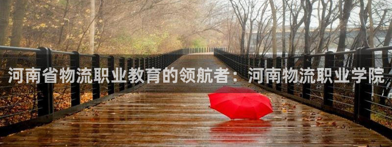 28圈麻将胡了：河南省物流职业教育的