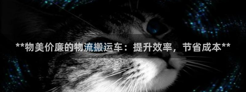 28圈pg如何退钱：**物美价廉的物