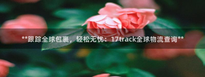 28圈登录不上咋回事：**跟踪全球包