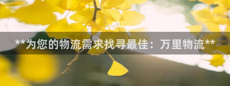28圈分分28预测：**为您的物流需