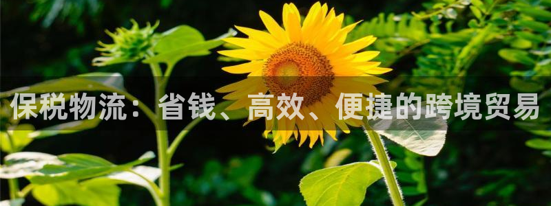 28圈提现未达5期是什么意思：保税物
