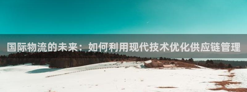 28圈登录网：国际物流的未来：如何利