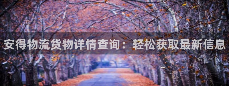 南宫28圈官网：安得物流货物详情查询
