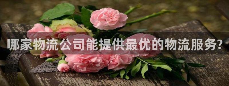28圈p扣除：哪家物流公司能提供最优