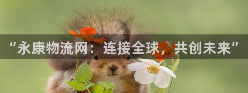 28圈登录流程：“永康物流网：连接全